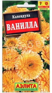 Календула Ванилла