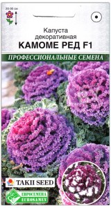 Капуста декоративная Камоме ред F1