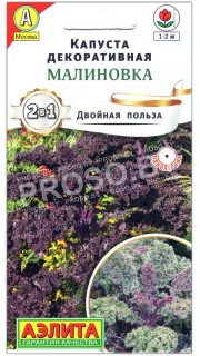 Капуста декоративная Малиновка