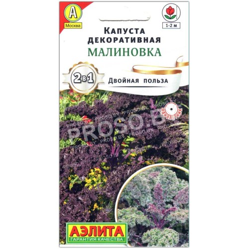 Капуста декоративная Малиновка