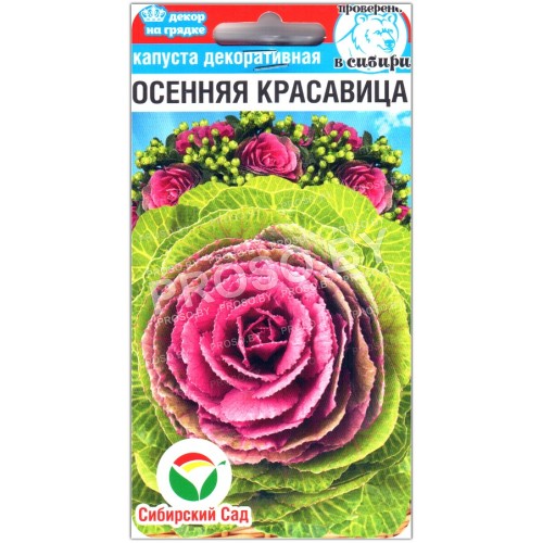 Капуста декоративная Осенняя красавица