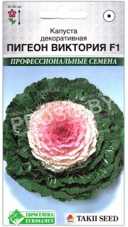 Капуста декоративная Пигеон виктория F1