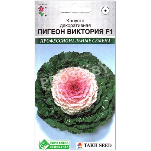 Капуста декоративная Пигеон виктория F1