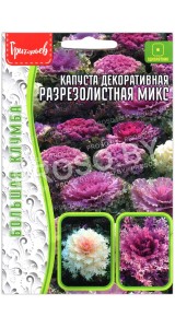 Капуста декоративная Разрезолистная микс