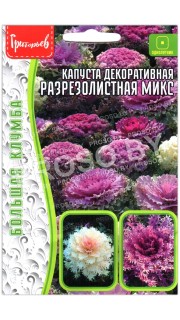 Капуста декоративная Разрезолистная микс