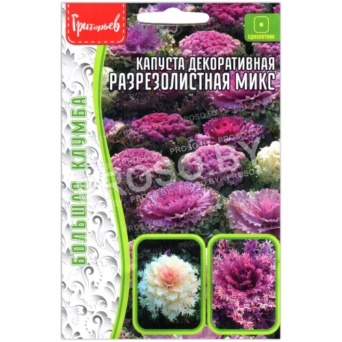 Капуста декоративная Разрезолистная микс