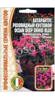 Катарантус кустовой розовидный Ocean deep orhid
