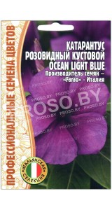 Катарантус кустовой розовидный Ocean light blue