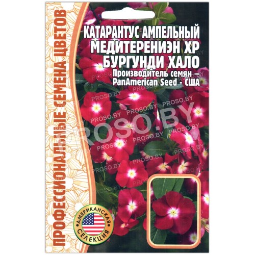 Катарантус Медитерениэн хр Бургунди хало