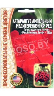 Катарантус Медитерениэн хр Ред