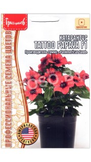 Катарантус Tattoo papaya F1