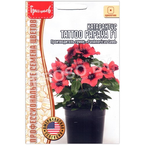 Катарантус Tattoo papaya F1