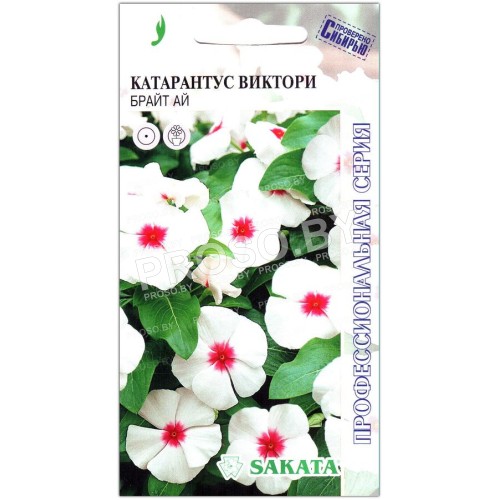 Катарантус Виктори брайт ай