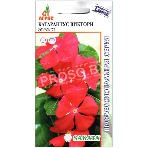 Катарантус Виктори эприкот