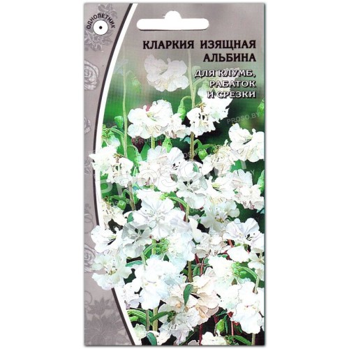 Кларкия Альбина