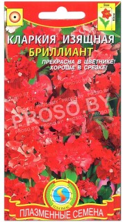 Кларкия Бриллиант
