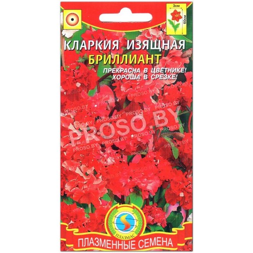 Кларкия Бриллиант