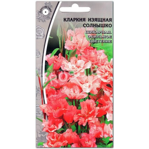 Кларкия Солнышко