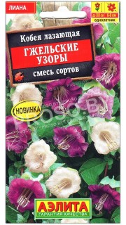 Кобея лазающая Гжельские узоры, смесь