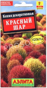 Кохия декоративная Красный шар