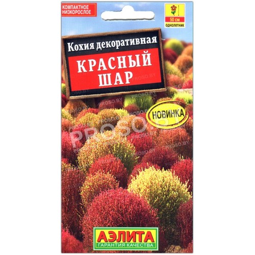 Кохия декоративная Красный шар