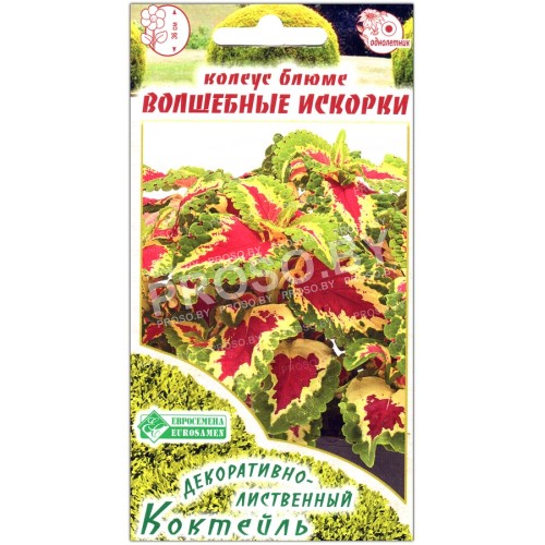 Колеус блюме Волшебные искорки