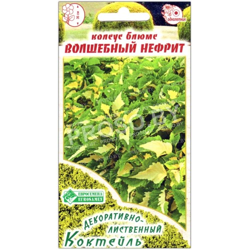 Колеус блюме Волшебный нефрит