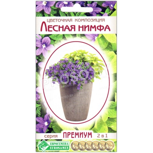 Колеус + броваллия Лесная нимфа, смесь