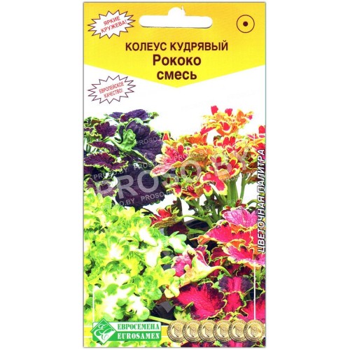 Колеус кудрявый Рококо, смесь