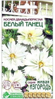 Космея дваждыперистая Белый танец