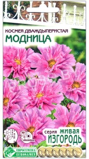 Космея дваждыперистая Модница