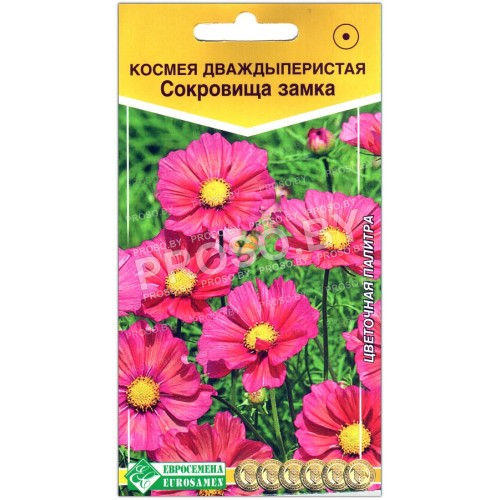Космея дваждыперистая Сокровища замка