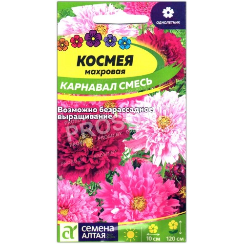 Космея махровая Карнавал, смесь