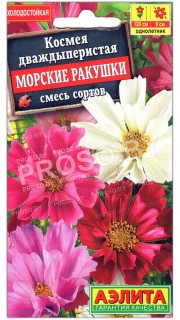 Космея Морские ракушки, смесь