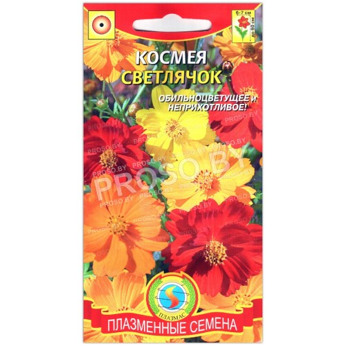 Космея Светлячок