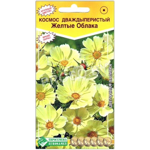 Космос дваждыперистый Желтые облака