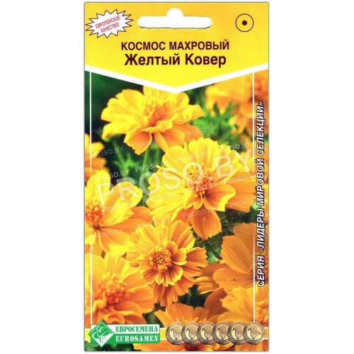 Космос махровый Желтый ковер
