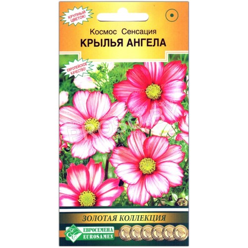Космос сенсация Крылья ангела