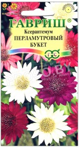 Ксерантемум Перламутровый букет, смесь