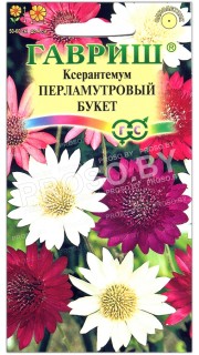 Ксерантемум Перламутровый букет, смесь