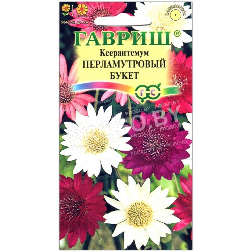 Ксерантемум Перламутровый букет, смесь