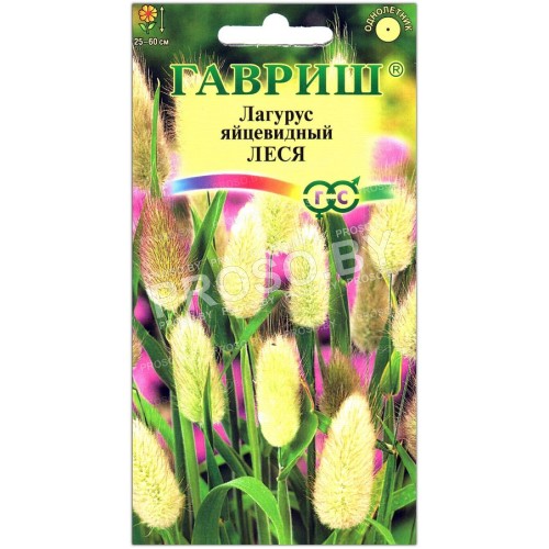 Лагурус яйцевидный Леся