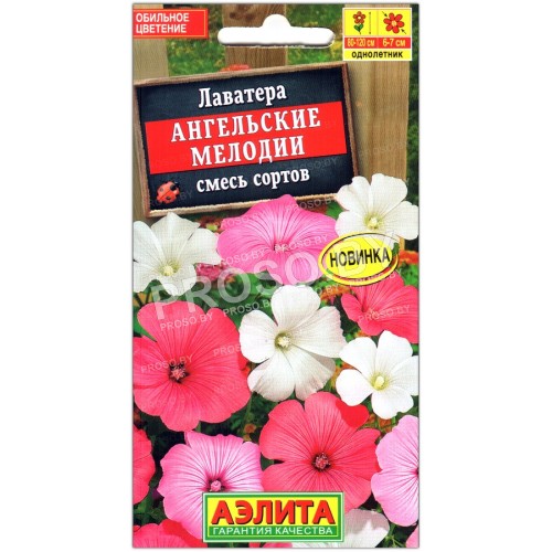 Лаватера Ангельские мелодии, смесь
