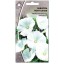 Лаватера Монт Блан