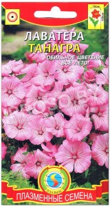 Лаватера Танагра