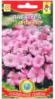 Лаватера Танагра