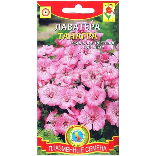 Лаватера Танагра