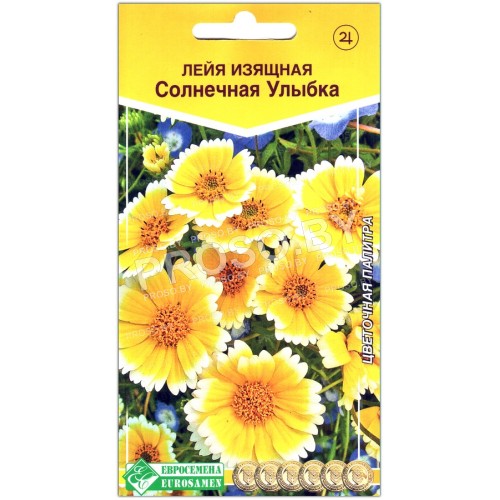 Лейя изящная Солнечная улыбка