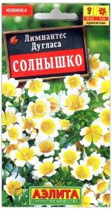 Лимнантес дугласа Солнышко