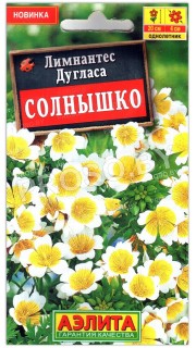 Лимнантес дугласа Солнышко